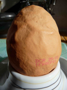 Strange Egg