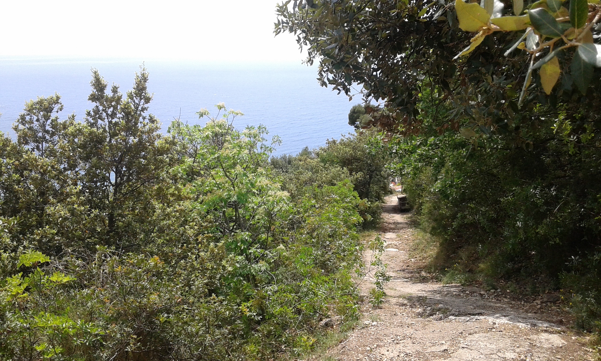 Balcony Trail of Mediterranean