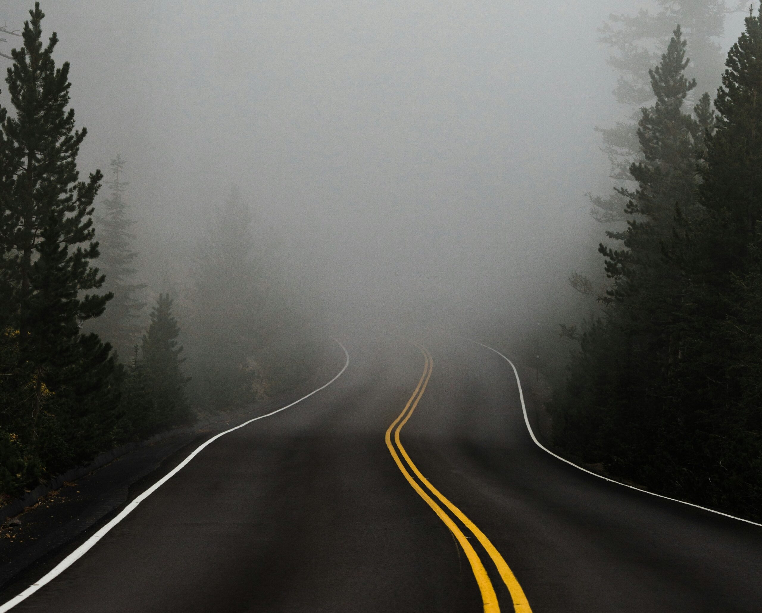 foggy road